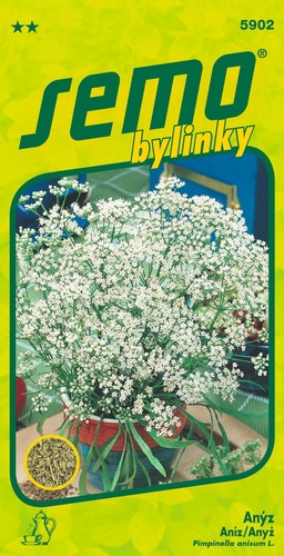 Anissamen pimpinella anisum - pimpinella,