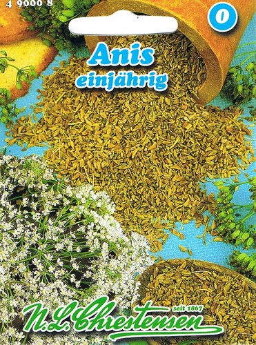 Anis einjährig pimpinella - einjährig, 'pimpinella