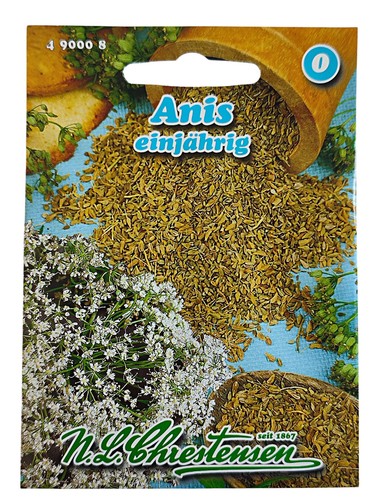 Anis saat einjährig - anis,